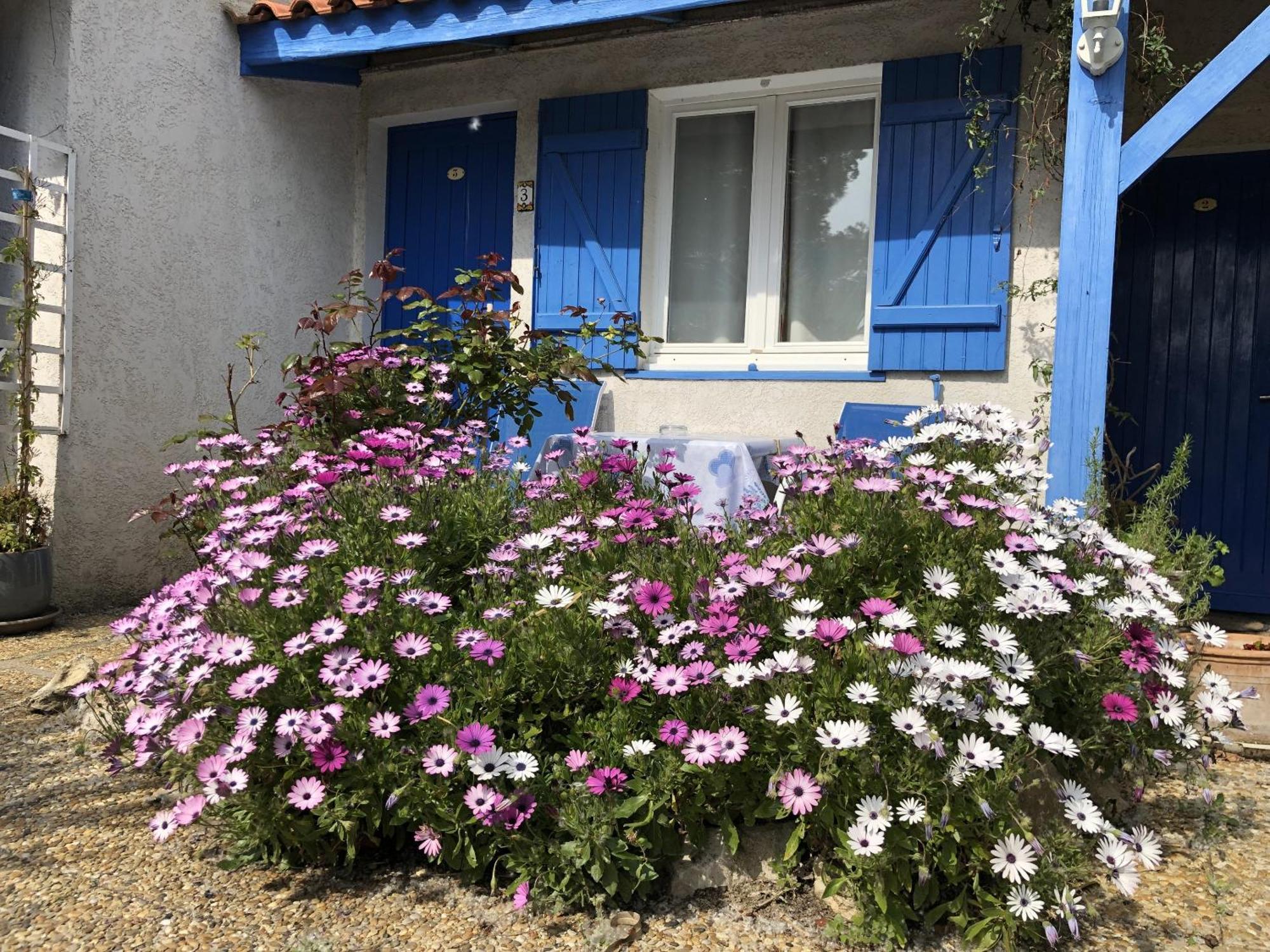 Hotel Des 4 Vents "Esprit Camargue" Айга-Мортас Екстериор снимка